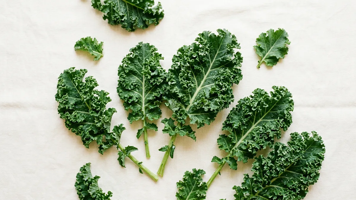 Hojas de kale col rizada sobre fondo blanco