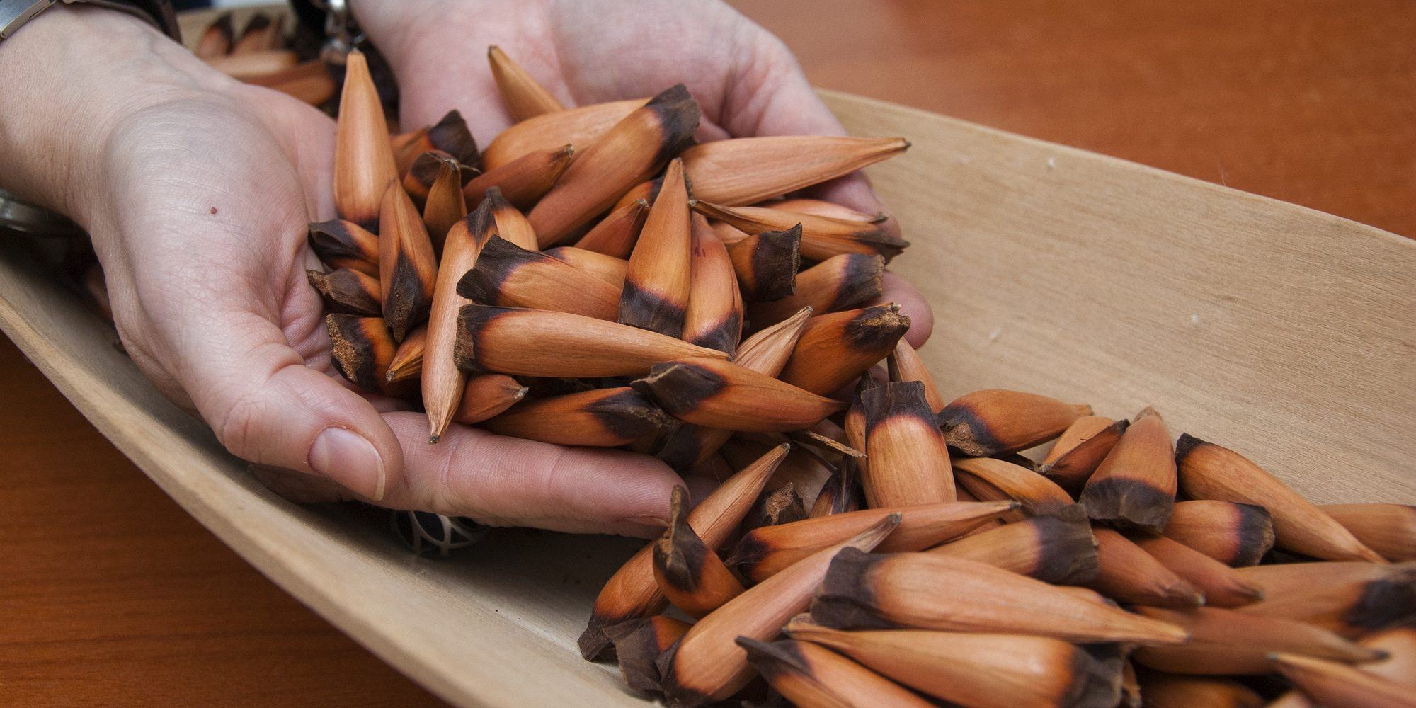 ¿Los piñones engordan?